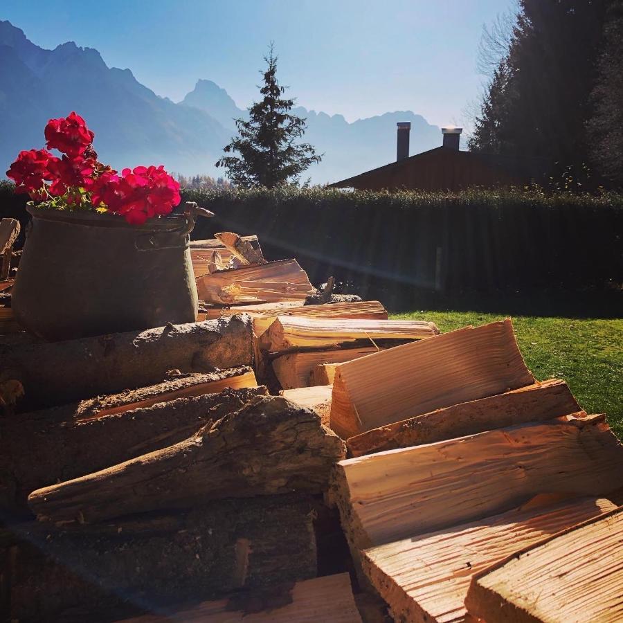 Orizzonti Montani Apartment Pieve di Cadore Exterior foto