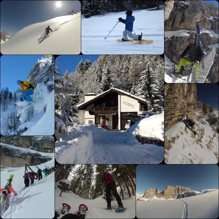 Orizzonti Montani Apartment Pieve di Cadore Exterior foto