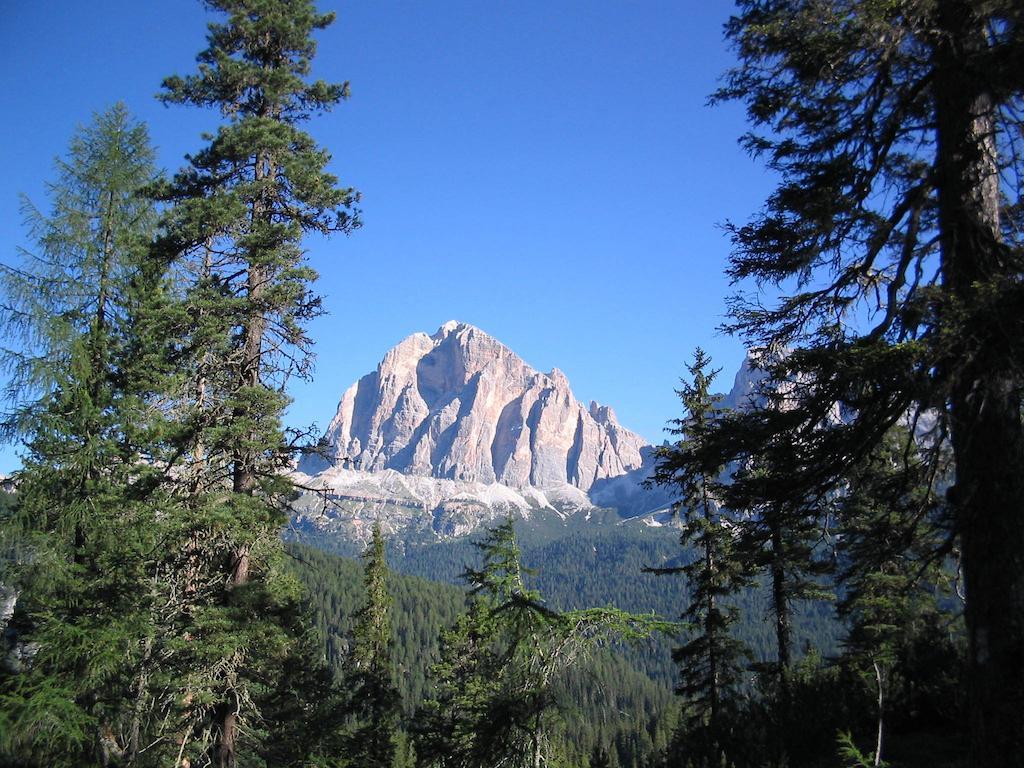 Orizzonti Montani Apartment Pieve di Cadore Exterior foto