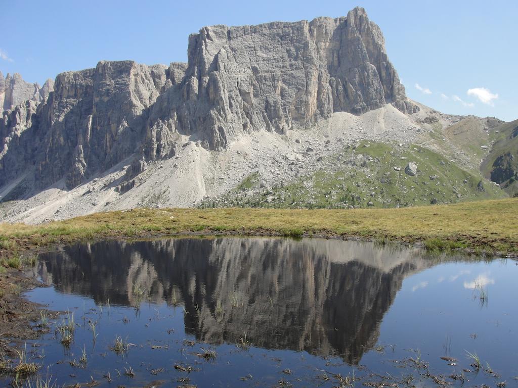 Orizzonti Montani Apartment Pieve di Cadore Exterior foto