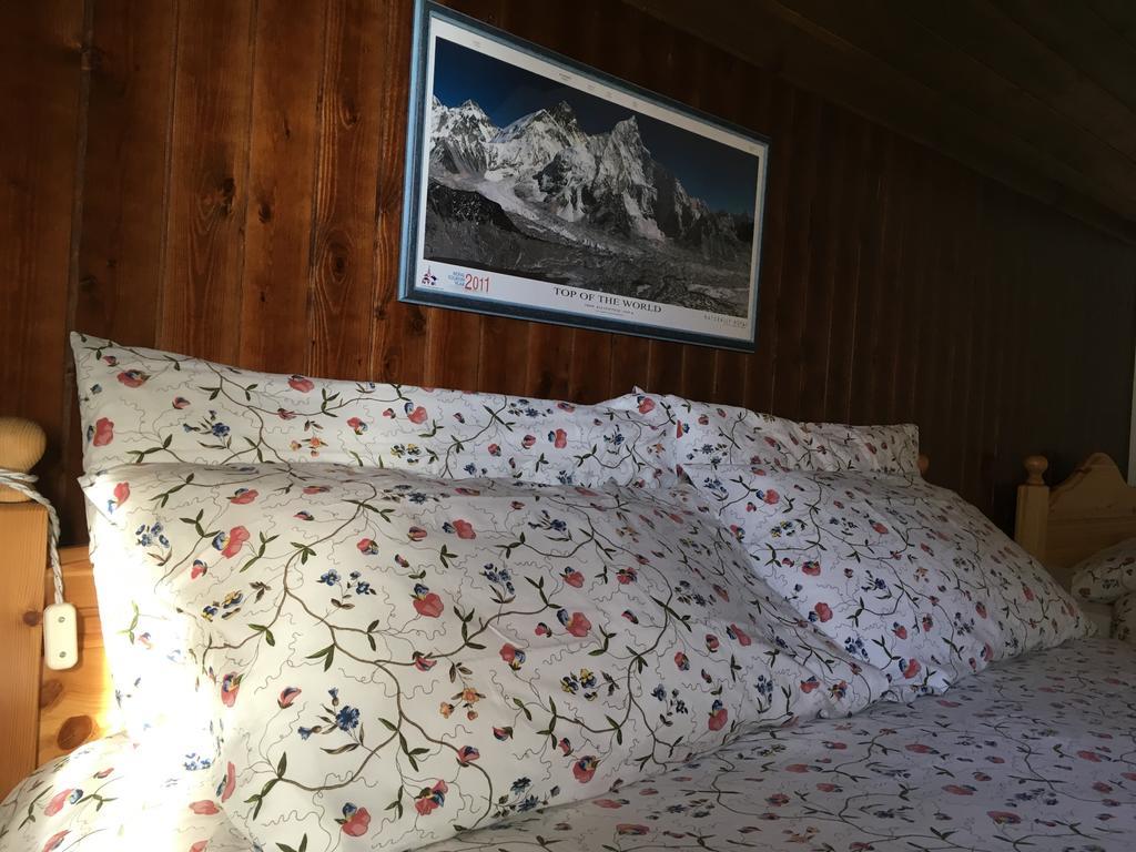 Orizzonti Montani Apartment Pieve di Cadore Exterior foto